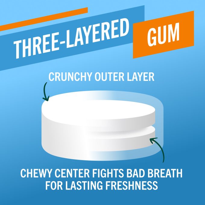 Chewing Gum, Invigorating Icy Mint Flavor